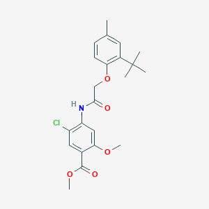 METHYL 4-[2-(2-TERT-BUTYL-4-METHYLPHENOXY)ACETAMIDO]-5-CHLORO-2-METHOXYBENZOATE