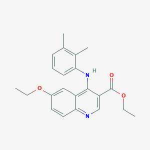 molecular formula C22H24N2O3 B3475028 Ethyl 4-[(2,3-dimethylphenyl)amino]-6-ethoxyquinoline-3-carboxylate 