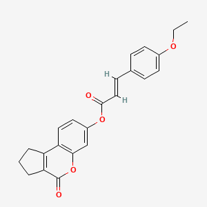 molecular formula C23H20O5 B3475815 4-oxo-1,2,3,4-tetrahydrocyclopenta[c]chromen-7-yl 3-(4-ethoxyphenyl)acrylate 