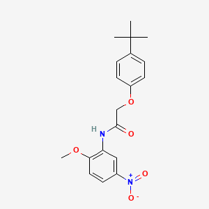 molecular formula C19H22N2O5 B3476053 2-(4-tert-butylphenoxy)-N-(2-methoxy-5-nitrophenyl)acetamide 