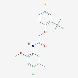 2-(4-bromo-2-tert-butylphenoxy)-N-(4-chloro-2-methoxy-5-methylphenyl)acetamide