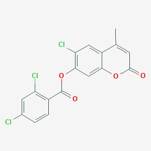 molecular formula C17H9Cl3O4 B3477129 6-chloro-4-methyl-2-oxo-2H-chromen-7-yl 2,4-dichlorobenzoate 