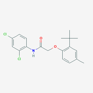 molecular formula C19H21Cl2NO2 B3478160 2-(2-tert-butyl-4-methylphenoxy)-N-(2,4-dichlorophenyl)acetamide 