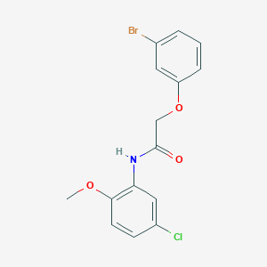 2-(3-bromophenoxy)-N-(5-chloro-2-methoxyphenyl)acetamide