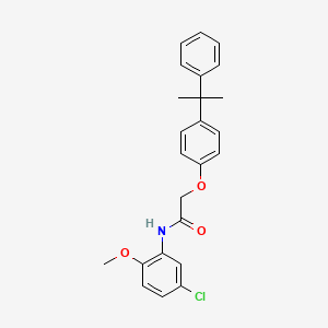 molecular formula C24H24ClNO3 B3478377 N-(5-chloro-2-methoxyphenyl)-2-[4-(1-methyl-1-phenylethyl)phenoxy]acetamide 