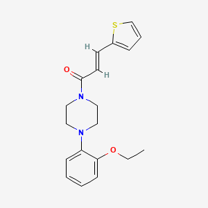 molecular formula C19H22N2O2S B3481723 1-(2-ethoxyphenyl)-4-[3-(2-thienyl)acryloyl]piperazine 