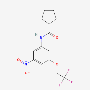 N-[3-nitro-5-(2,2,2-trifluoroethoxy)phenyl]cyclopentanecarboxamide