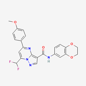 molecular formula C23H18F2N4O4 B3483027 7-(difluoromethyl)-N-(2,3-dihydro-1,4-benzodioxin-6-yl)-5-(4-methoxyphenyl)pyrazolo[1,5-a]pyrimidine-3-carboxamide 