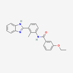 molecular formula C23H21N3O2 B3483274 N-[3-(1H-benzimidazol-2-yl)-2-methylphenyl]-3-ethoxybenzamide 