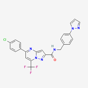 molecular formula C24H16ClF3N6O B3483487 5-(4-chlorophenyl)-N-[4-(1H-pyrazol-1-yl)benzyl]-7-(trifluoromethyl)pyrazolo[1,5-a]pyrimidine-2-carboxamide 