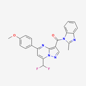 molecular formula C23H17F2N5O2 B3483814 7-(difluoromethyl)-5-(4-methoxyphenyl)-3-[(2-methyl-1H-benzimidazol-1-yl)carbonyl]pyrazolo[1,5-a]pyrimidine 