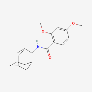molecular formula C19H25NO3 B3484081 N-2-adamantyl-2,4-dimethoxybenzamide 