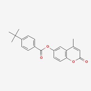 molecular formula C21H20O4 B3486465 (4-Methyl-2-oxochromen-6-yl) 4-tert-butylbenzoate 