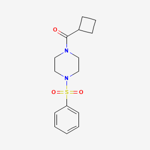 CYCLOBUTYL[4-(PHENYLSULFONYL)PIPERAZINO]METHANONE