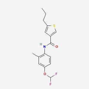 molecular formula C16H17F2NO2S B3490606 N-[4-(difluoromethoxy)-2-methylphenyl]-5-propylthiophene-3-carboxamide 