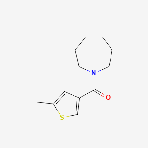 1-AZEPANYL(5-METHYL-3-THIENYL)METHANONE