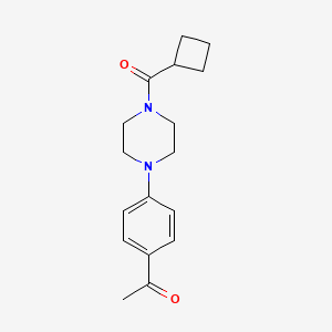 1-{4-[4-(CYCLOBUTYLCARBONYL)PIPERAZINO]PHENYL}-1-ETHANONE