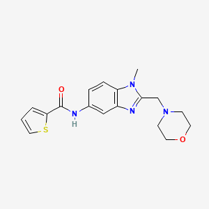 molecular formula C18H20N4O2S B3493367 N-{1-METHYL-2-[(MORPHOLIN-4-YL)METHYL]-1H-1,3-BENZODIAZOL-5-YL}THIOPHENE-2-CARBOXAMIDE 