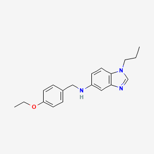 molecular formula C19H23N3O B3496412 N-(4-ethoxybenzyl)-1-propyl-1H-benzimidazol-5-amine 