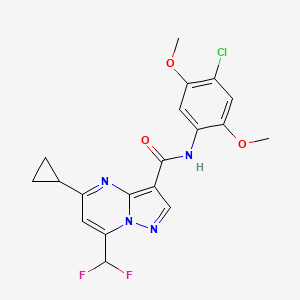molecular formula C19H17ClF2N4O3 B3499718 N-(4-chloro-2,5-dimethoxyphenyl)-5-cyclopropyl-7-(difluoromethyl)pyrazolo[1,5-a]pyrimidine-3-carboxamide 