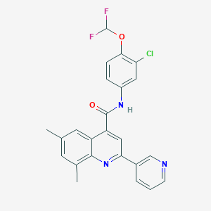 molecular formula C24H18ClF2N3O2 B3500290 N-[3-chloro-4-(difluoromethoxy)phenyl]-6,8-dimethyl-2-(3-pyridinyl)-4-quinolinecarboxamide 