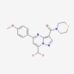 molecular formula C19H18F2N4O2S B3502692 7-(difluoromethyl)-5-(4-methoxyphenyl)-3-(4-thiomorpholinylcarbonyl)pyrazolo[1,5-a]pyrimidine 