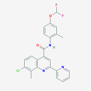 molecular formula C24H18ClF2N3O2 B3504024 7-chloro-N-[4-(difluoromethoxy)-2-methylphenyl]-8-methyl-2-(2-pyridinyl)-4-quinolinecarboxamide 