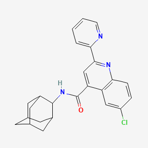 molecular formula C25H24ClN3O B3504359 N-2-adamantyl-6-chloro-2-(2-pyridinyl)-4-quinolinecarboxamide 