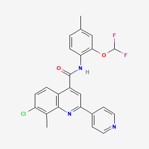 molecular formula C24H18ClF2N3O2 B3504462 7-chloro-N-[2-(difluoromethoxy)-4-methylphenyl]-8-methyl-2-(4-pyridinyl)-4-quinolinecarboxamide 