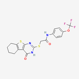 molecular formula C19H16F3N3O3S2 B3508060 2-[(4-oxo-3,4,5,6,7,8-hexahydro[1]benzothieno[2,3-d]pyrimidin-2-yl)thio]-N-[4-(trifluoromethoxy)phenyl]acetamide 