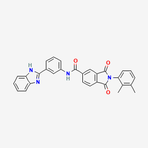 molecular formula C30H22N4O3 B3510368 N-[3-(1H-benzimidazol-2-yl)phenyl]-2-(2,3-dimethylphenyl)-1,3-dioxo-5-isoindolinecarboxamide 