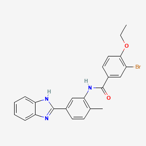 N-[5-(1H-1,3-BENZODIAZOL-2-YL)-2-METHYLPHENYL]-3-BROMO-4-ETHOXYBENZAMIDE