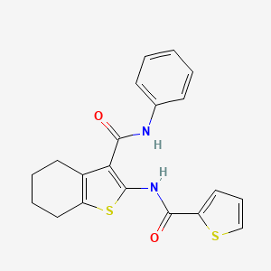 molecular formula C20H18N2O2S2 B3513117 N-phenyl-2-[(2-thienylcarbonyl)amino]-4,5,6,7-tetrahydro-1-benzothiophene-3-carboxamide 