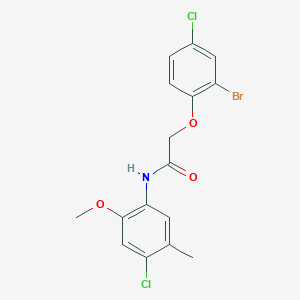 2-(2-bromo-4-chlorophenoxy)-N-(4-chloro-2-methoxy-5-methylphenyl)acetamide