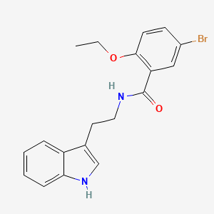 molecular formula C19H19BrN2O2 B3515225 5-bromo-2-ethoxy-N-[2-(1H-indol-3-yl)ethyl]benzamide 