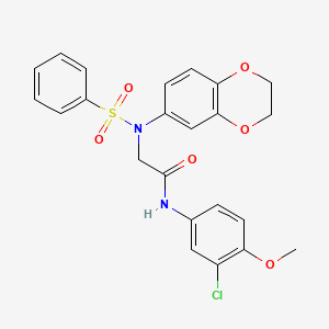 N~1~-(3-chloro-4-methoxyphenyl)-N~2~-(2,3-dihydro-1,4-benzodioxin-6-yl)-N~2~-(phenylsulfonyl)glycinamide