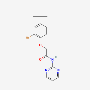 molecular formula C16H18BrN3O2 B3518763 2-(2-bromo-4-tert-butylphenoxy)-N-pyrimidin-2-ylacetamide 