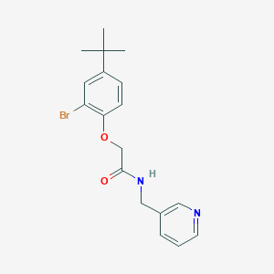 2-(2-bromo-4-tert-butylphenoxy)-N-(3-pyridinylmethyl)acetamide