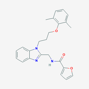 molecular formula C24H25N3O3 B353223 N-[[1-[3-(2,6-dimethylphenoxy)propyl]benzimidazol-2-yl]methyl]furan-2-carboxamide CAS No. 920116-02-5