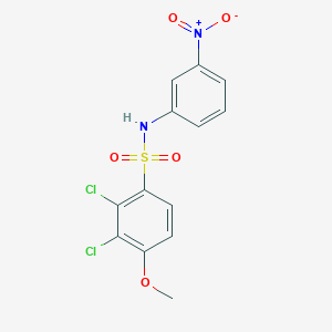 2,3-dichloro-4-methoxy-N-(3-nitrophenyl)benzenesulfonamide