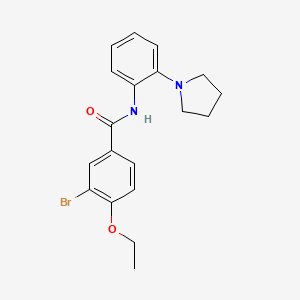 3-bromo-4-ethoxy-N-[2-(1-pyrrolidinyl)phenyl]benzamide