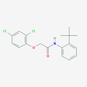 N-(2-tert-butylphenyl)-2-(2,4-dichlorophenoxy)acetamide