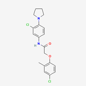 molecular formula C19H20Cl2N2O2 B3552482 2-(4-chloro-2-methylphenoxy)-N-[3-chloro-4-(1-pyrrolidinyl)phenyl]acetamide 