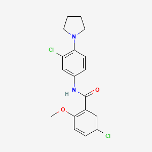 molecular formula C18H18Cl2N2O2 B3552490 5-chloro-N-[3-chloro-4-(1-pyrrolidinyl)phenyl]-2-methoxybenzamide 