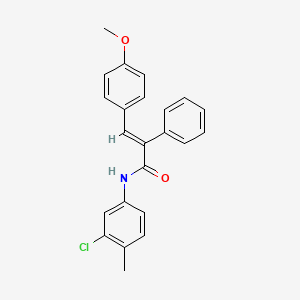 molecular formula C23H20ClNO2 B3553881 N-(3-chloro-4-methylphenyl)-3-(4-methoxyphenyl)-2-phenylacrylamide 