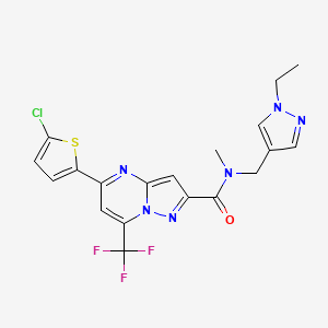 molecular formula C19H16ClF3N6OS B3554092 5-(5-chloro-2-thienyl)-N-[(1-ethyl-1H-pyrazol-4-yl)methyl]-N-methyl-7-(trifluoromethyl)pyrazolo[1,5-a]pyrimidine-2-carboxamide 