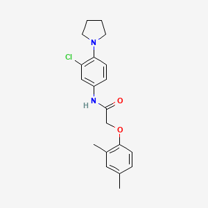 molecular formula C20H23ClN2O2 B3555366 N-[3-chloro-4-(1-pyrrolidinyl)phenyl]-2-(2,4-dimethylphenoxy)acetamide 