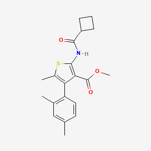 molecular formula C20H23NO3S B3555558 methyl 2-[(cyclobutylcarbonyl)amino]-4-(2,4-dimethylphenyl)-5-methyl-3-thiophenecarboxylate 