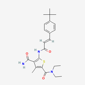 molecular formula C24H31N3O3S B3555630 5-{[3-(4-tert-butylphenyl)acryloyl]amino}-N~2~,N~2~-diethyl-3-methyl-2,4-thiophenedicarboxamide 