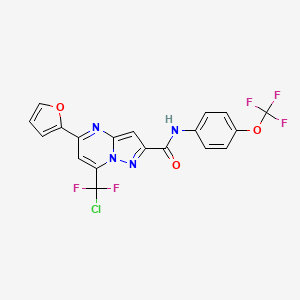 molecular formula C19H10ClF5N4O3 B3557280 7-[chloro(difluoro)methyl]-5-(2-furyl)-N-[4-(trifluoromethoxy)phenyl]pyrazolo[1,5-a]pyrimidine-2-carboxamide 